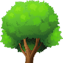 Octree OCT cryptocurrency