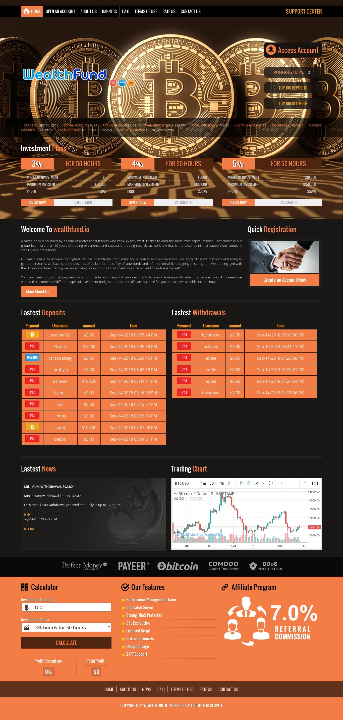 Investment project WEALTHFUND
