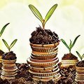 Let's invest money in HYIPs properly or how to not lose your investments