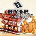 Basic terms in HYIP