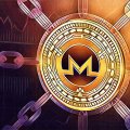 The Fake Monero Rings Hard Fork