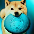 La tasa de quema de SHIB alcanza un máximo de 6 meses: ¿reaccionará el precio de Shiba Inu?