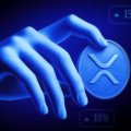 Whales Yank 231 Million XRP From Binance — Largest Withdrawal in 6 Months