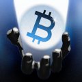 Zest Bets Bitcoin Can Back Loans Without Ever Leaving Its Own Chain