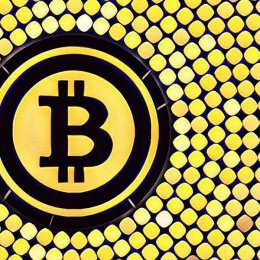 What is satoshi in cryptocurrencies?