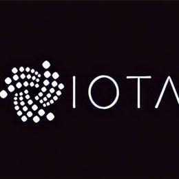 A new chip for IOTA transactions within the network