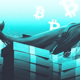 Las ballenas de Bitcoin nunca dejaron de comprar: ¿es Wall Street el último en darse cuenta?