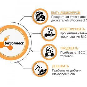BitConnect / BCC cryptocurrency