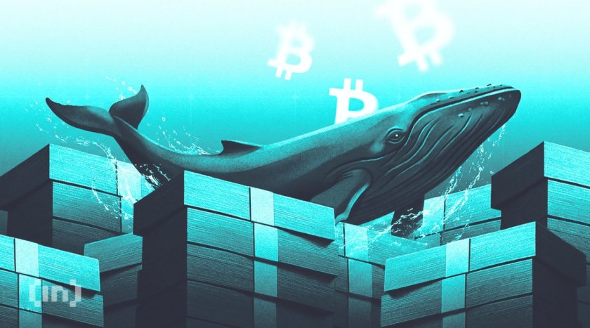 3 Altcoins Crypto Whales Are Buying Ahead of July 2026