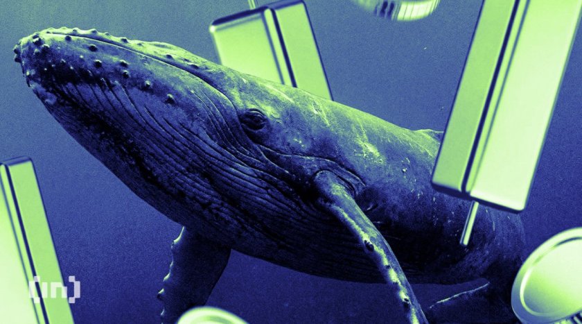 These 2 Altcoins Just Flashed Their Biggest Whale Spike in 6 Months