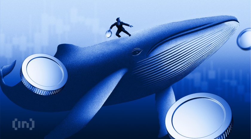Wall Street Crypto Treasuries Are Buying Bitcoin and Ethereum Again. Why?